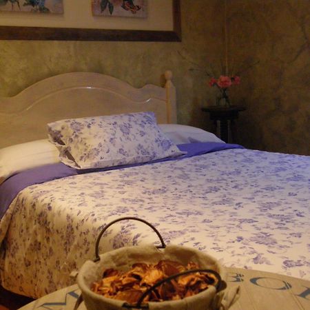 Chalet Rural El Encanto Ох'єдо Номер фото